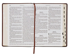 KJV Super Giant Print Bible-Brown Faux Leather Indexed BRAND NEW in Shrink Wrap!