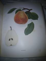 THE PEARS OF NEW YORK U.P. Hedrick 80 color plates 1921 First Ed