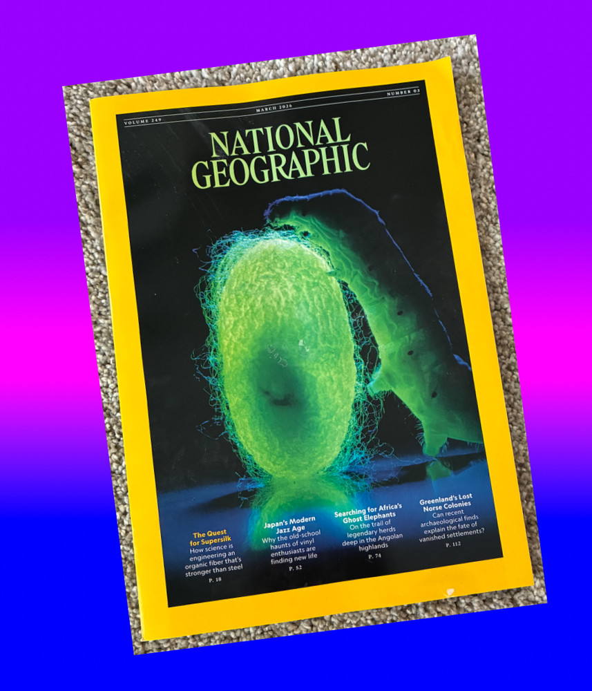 🟥 March 2026 National Geographic magazine Spider Silk, Vikings SPECIAL ISSUE