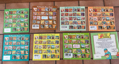 Lot of 25 Berenstain Bears Paperback Books by Stan & Jan Bernstein Various