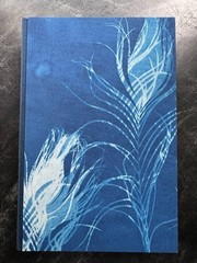 Hex (Suntup Press, signed, Presentation copy w/o clamshell)