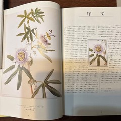 Botanical Art Book Flowers & Cultural History Rees de Bray 30cm x 22cm
