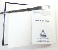 Lives of the Saints One For Every Day of the Year Hardcover 528 pages A12
