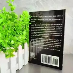 The Mountain Is You: Transforming Self-Sabotage Into Self-Mastery Paperback