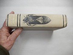 Lot of 5 Romance Novels by Elizabeth W. Champney, 1907-10, G. P. Putnam’s Sons