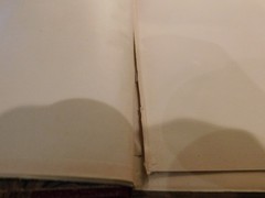 1901 15 Volumes 'Honore de Balzac’ Illus. Book Lover Press Marbled Covers