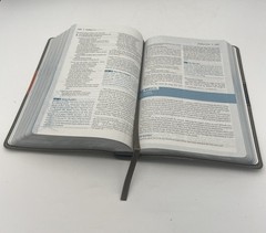 NIV, Student Bible, Compact, Leathersoft, Gray/Green Lay Flat Design