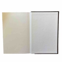 Trident: A Trading Strategy Hardcover By Lindsay, Charles