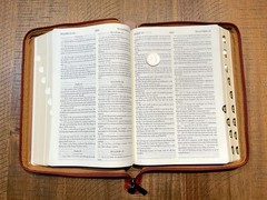 Russian/English Parallel Bible, Synodal/KJV, Brown Imitation Leather Zip LARGE