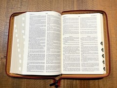 Russian/English Parallel Bible, Synodal/KJV, Brown Imitation Leather Zip LARGE