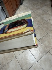 Chez Panisse Desserts (1st Ed) by Lindsey Remolif Shere