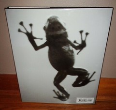 AQUATICS-Abstract Aquatic Life Photographs-Henry Horenstein-BRAND NEW 1st HC dj!
