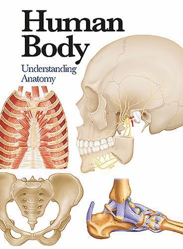 Mini Encyclopedia Ser.: Human Body : Understanding Anatomy by Jane de Burgh…