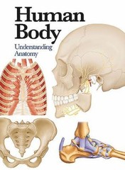 Mini Encyclopedia Ser.: Human Body : Understanding Anatomy by Jane de Burgh…