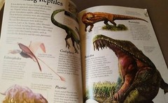 Dinosaurs in the Round by RH Disney Staff (2008, Novelty Book)