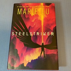 Lot 2 ~ Hardcover Books ~ MARIE LU ~ SKYHUNTER and STEELSTRIKER ~ Roaring Brook