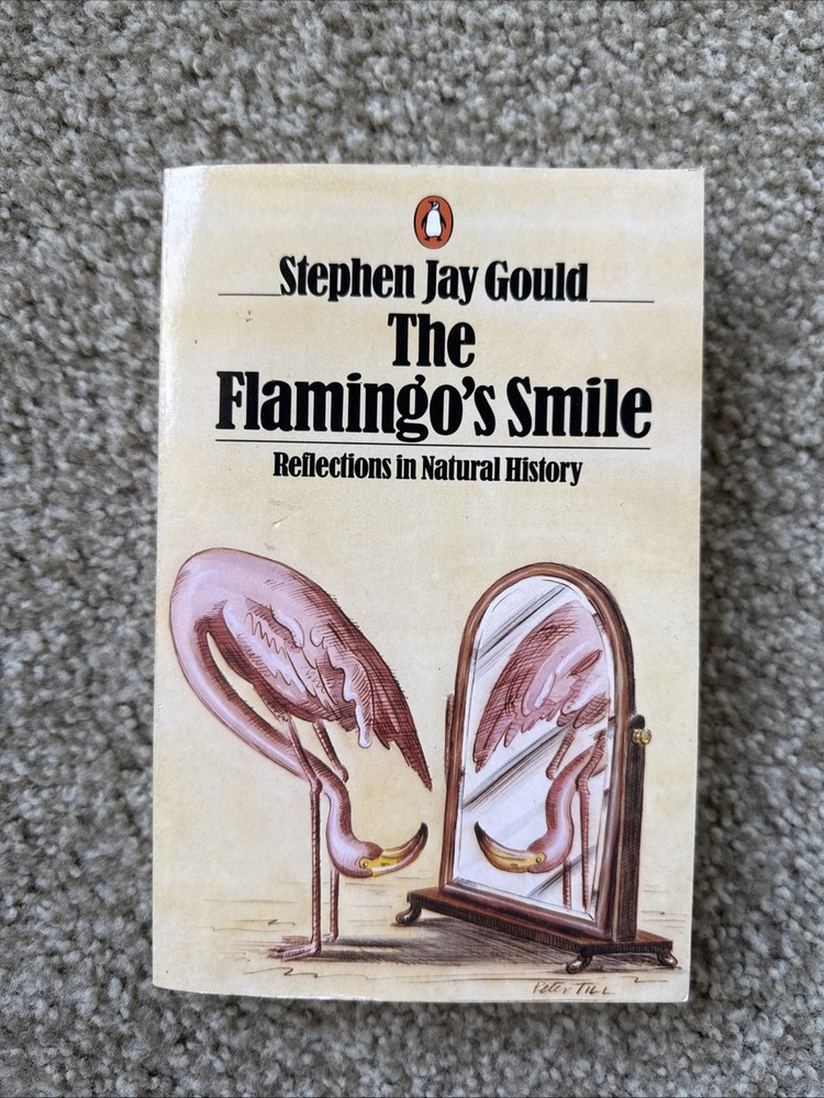 books used non fiction self help