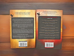Fourth Wing & Iron Flame Hardcover Lot by Rebecca Yarros – Empyrean Series