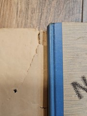 1935: First Edition Children Of The Northern Lights by Ingri & Edgar Parin