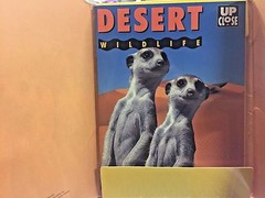 Desert Wildlife Up Close:Book, Board Game, Poster, Press-Out Model Puzzle