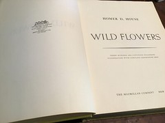 Homer D. House WILD FLOWERS (ill.) The Macmillan Company c. 1961 @D5