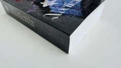 Nocticadia Keri Lake Paperback Dark Romance Novel Book, Like New