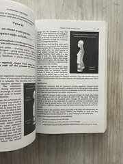 Kundalini Hatha Yoga Pradipika by Michael Beloved Body Posture Sanskrit Text SC