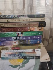 A Large Set Total Of 21 Babour House Novels