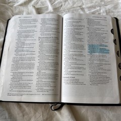 Amplified Bible – AMP, 2015 – Black Bonded Leather – Indexed Good Condition