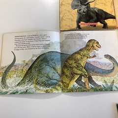 Dinosaurs Educational Science 1st 2nd 3rd Grade Picture Children’s 15 Book Lot