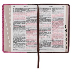 KJV Giant Print Brown Berry Pink Thumb Indexed BRAND NEW in Shrink Wrap!!!