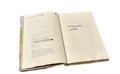 A Summer to Die by Lois Lowry 1977, Hardcover Vintage