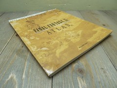 Final Fantasy XI 11 Atlas Brady Games Guide Ed Kern 2005 Good Condition