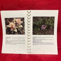Wild Wildflowers of the West by Edith S. Kinucan and Penney R. Brons 1985 3rd Pr