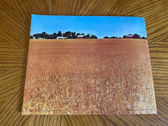 Historical Album of Kansas Book Booklet Photos History Vintage Native Americans