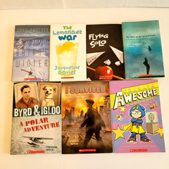Boys 3rd/4th/5th/6th Grade Chapter Books Lot of 42 Homeschool PB Scholastic