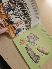 Dinosaurs (Pictureback(R)) by Zallinger, Peter, Good Book