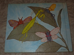 Bugs : Poems By Mary Ann Hoberman 1976 HC 1st ED in Dust Jacket RARE SIGNED!