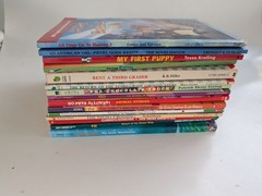 Lot of 15 Chapter Books – Ages 7-11 Great for Summer Reading
