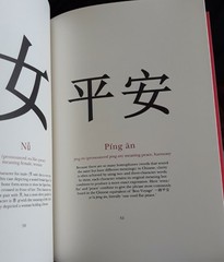 CHINESE CHARACTERS The Art and Meaning of Hanzi Ancient Chinese Binding AS SHOWN