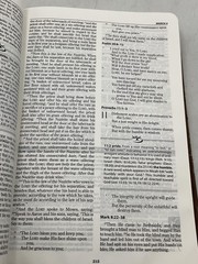 The MacArthur Daily Bible John F MacArthur Jr Thomas Nelson 2003 Softcover Brown