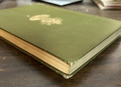 36th Annual Report of the Bureau of American Ethnology to / Secretary 1914-1915