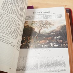 Holy Bible edited by Rev. John P. O’Connell (The Catholic Press, 1952)