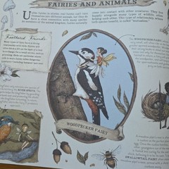Folklore Field Guides: A Natural History of Fairies by Emily Hawkins