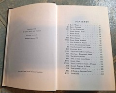 Five Furies Of Leaning Ladder Bower 1936 Hardcover First Edition