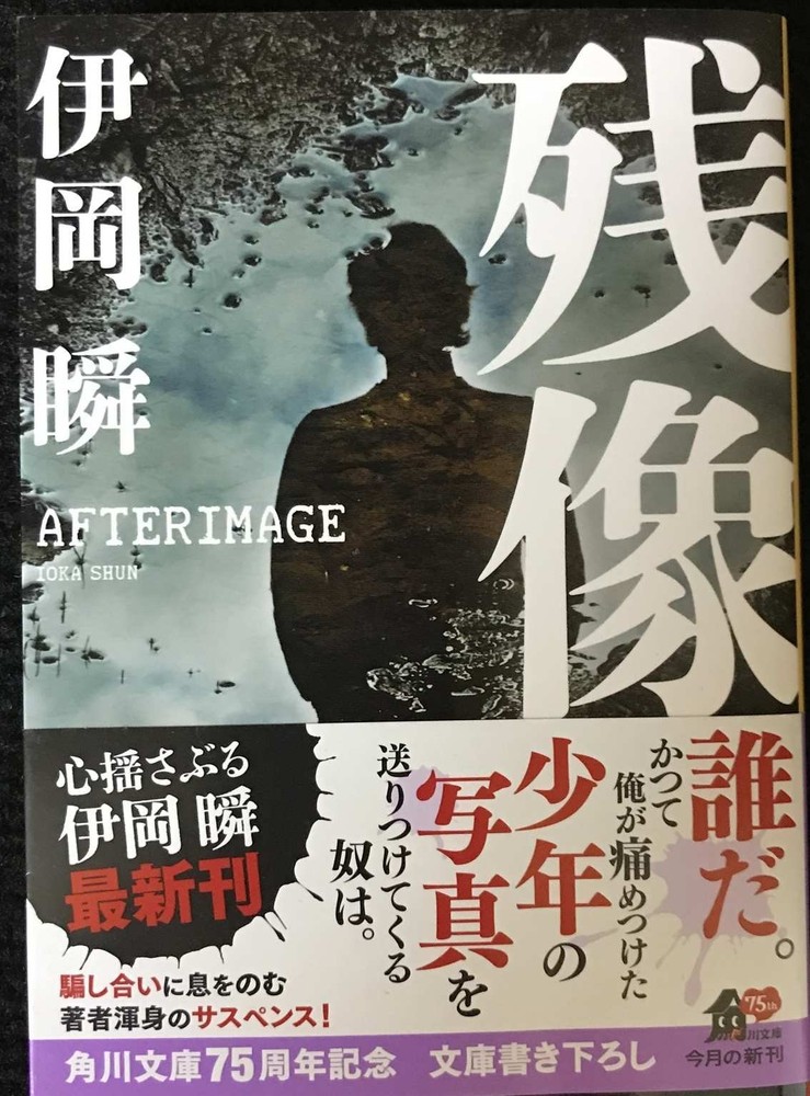 Afterimage Kadokawa Bunko