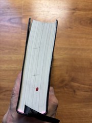 The Familiar, Volume 1: One Rainy Day in May/Mark Z. Danielewski/VERY GOOD FLEXI