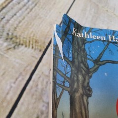Good Night Fairies Hardcover w Dust Jacket By Kathleen Hague 2002