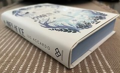 Omen of Ice by Jus Accardo Owlcrate Exclusive Signed First Edition novel, New