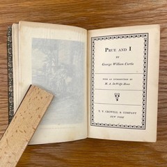 Vintage 1899 Prue And I George William Curtis Softcover Book